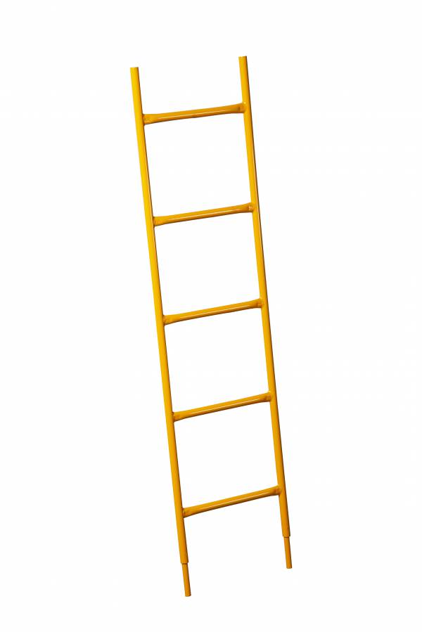 ACCESS LADDER 5' - Ladder
