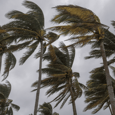 Rising Above: Rebuilding Communities After 2024’s Record-Breaking Hurricane Season