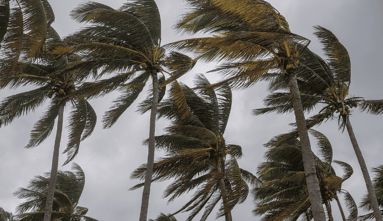 Rising Above: Rebuilding Communities After 2024’s Record-Breaking Hurricane Season