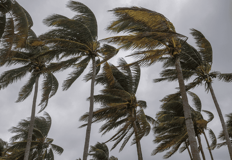 Rising Above: Rebuilding Communities After 2024’s Record-Breaking Hurricane Season